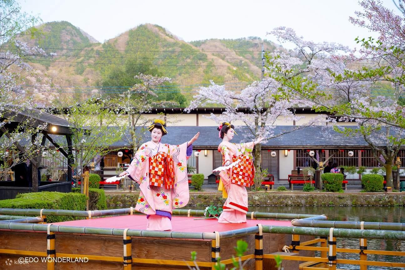 🎡 에도 원더랜드 닛코 에도무라 이미지 7